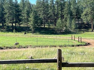 999 County Road 453, Lake George, CO 80827