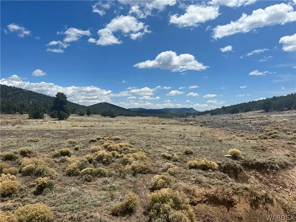 Tbd Sidwell Rd, Seligman, AZ 86337