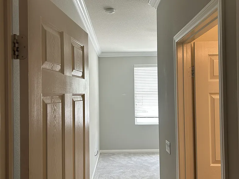 26112 Palm Breeze Ln — Photo 15
