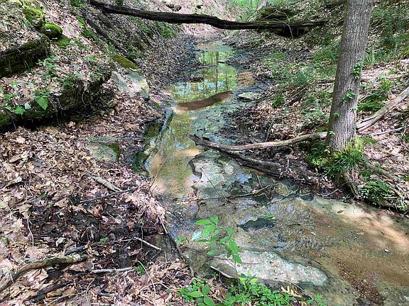 32nd image of this home