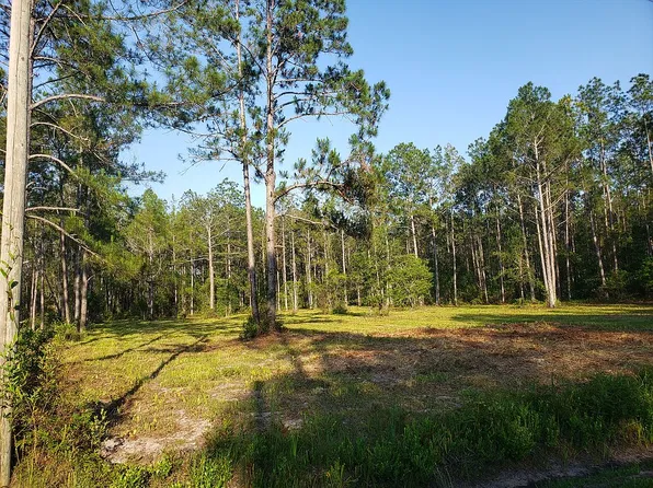 10640 Beckenger Ave, Hastings, FL 32145