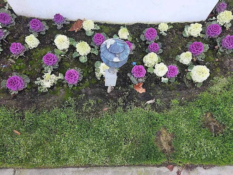 Sawtelle Blvd — Photo 3