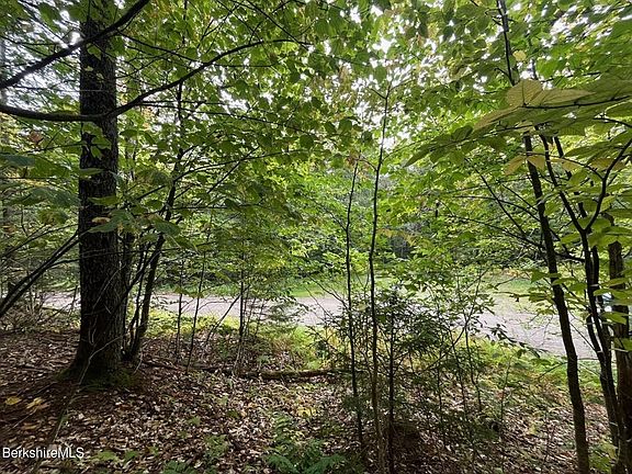 5th image of 0 Manley Phelps Rd