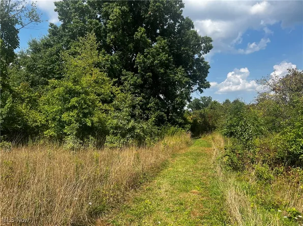 Cates Rd, Akron, OH 44312