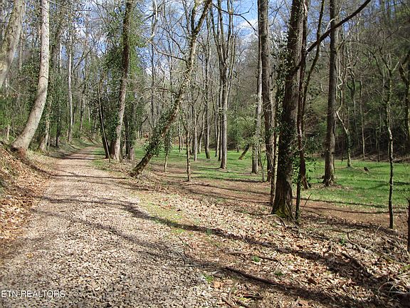 3rd image of 4125 Bear Hollow Loop
