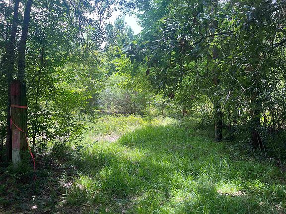 4th image of 240 Strong Rd