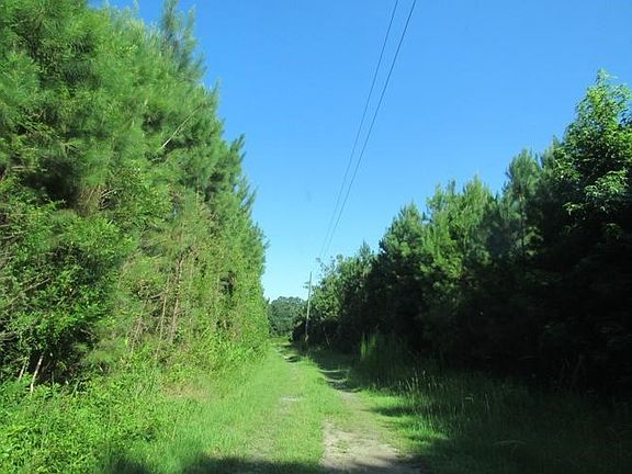 sprig grove 003