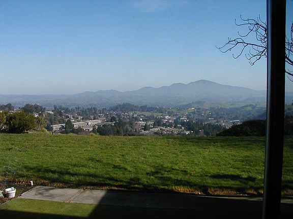 Mt Diablo & Tice Valley View