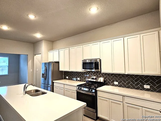 12549 Rothau Dr — Photo 3