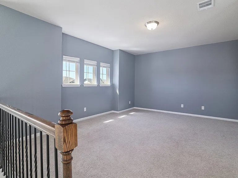 153 Brady Creek Way — Photo 22