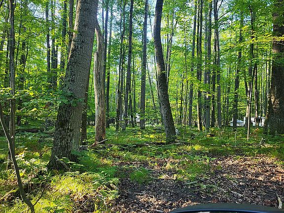 5th image of 5628 Oak Run