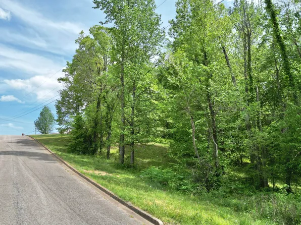 0 Cardinal Estate Dr, Lexington, TN 38351