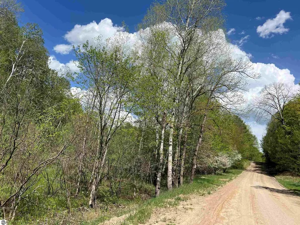 Pesek Rd, East Jordan, MI 49727