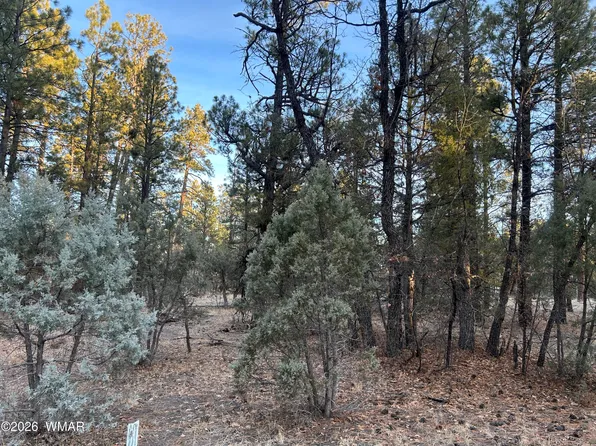 NULLQ Hilltop Ln, Lakeside, AZ 85929