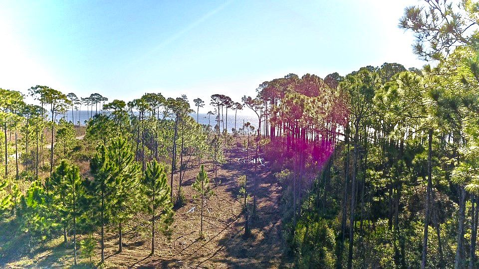 1st image of 1483 Us Highway 98