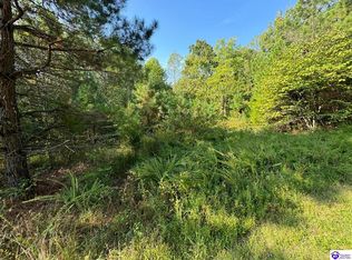 0 Dewitt Rd, Fordsville, KY 42343