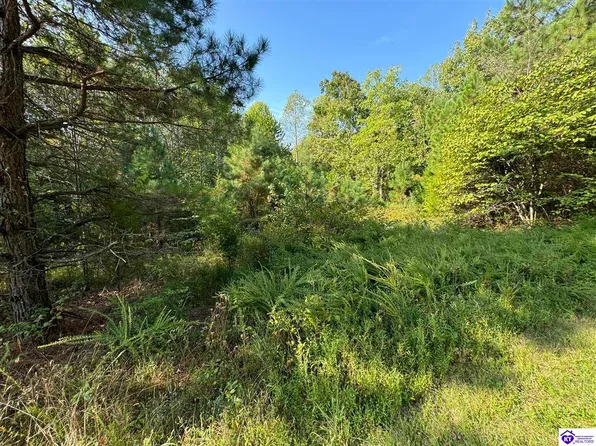 0 Dewitt Rd, Fordsville, KY 42343