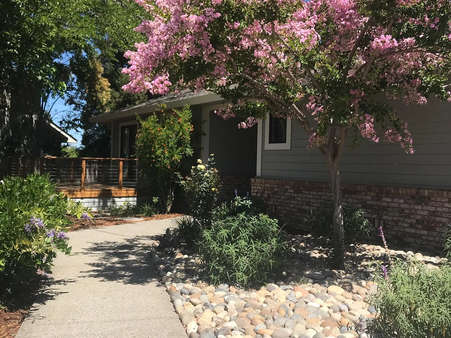 Imola Ave, Napa — Photo 2