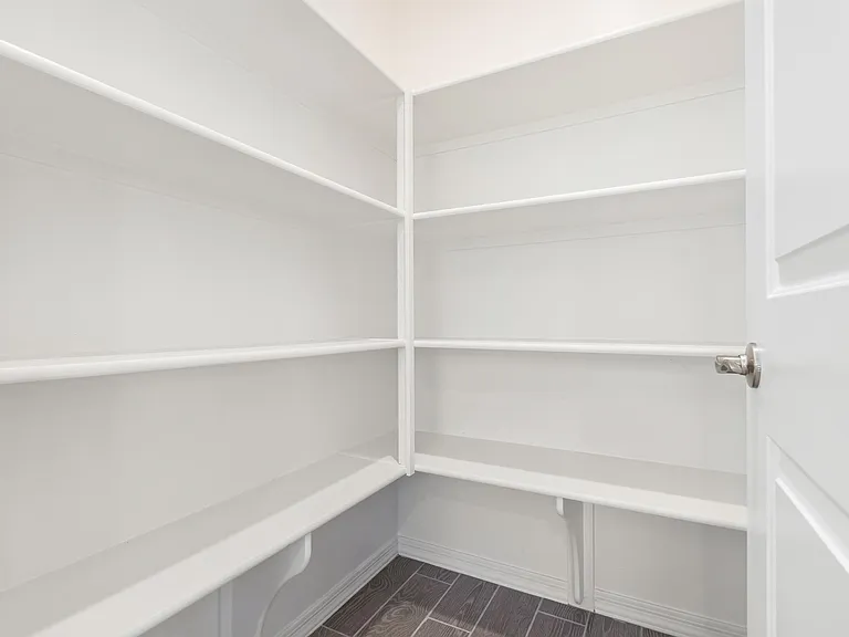 Kitchen pantry (Walk-in)