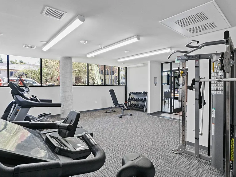 Fitness Studio and Workout Equipment