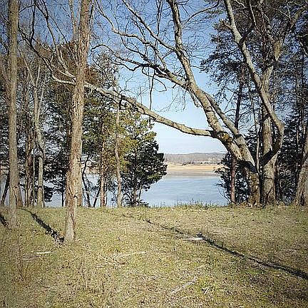 Grate spot for tree swing!