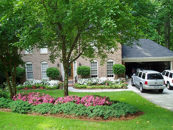 Pink Azeleas Front View