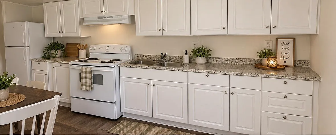 3 bed, 980 sqft, $1,000 — Photo 1