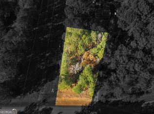 0 Freeman Rd, Hampton, GA 30228