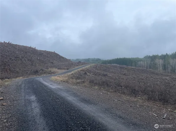0 Alger Truck Trail, Skamokawa, WA 98647