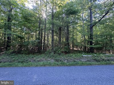 Apple Grove Rd, Kilmarnock, VA, 22482