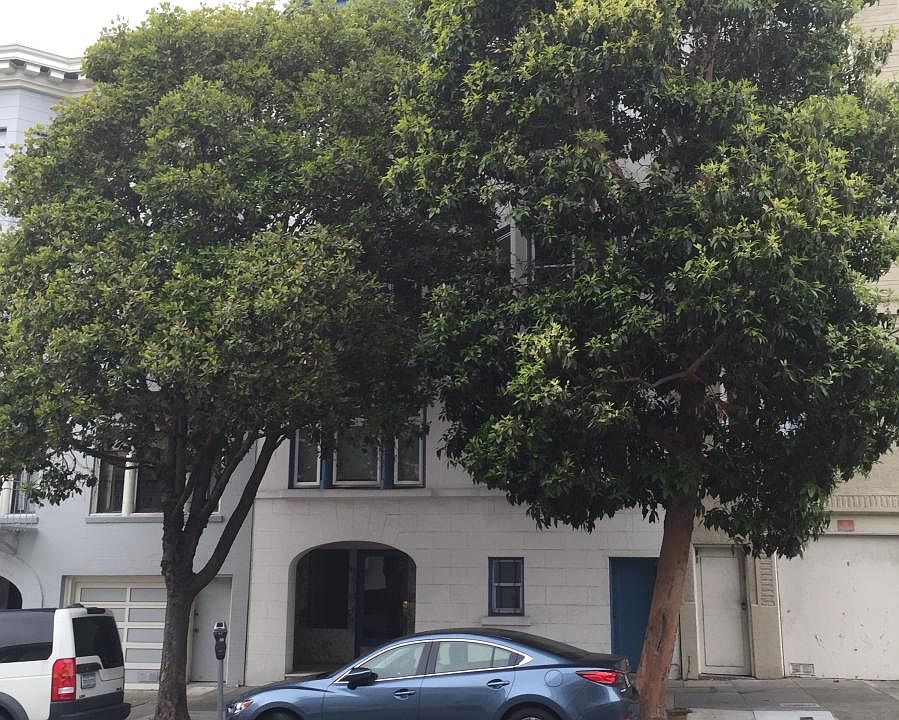 1st image of 1550 Jackson St APT 2