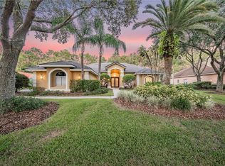 8946 Magnolia Chase Cir, Tampa, FL 33647