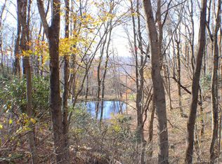 1 Gulch Rd, Meadows Of Dan, VA 24120