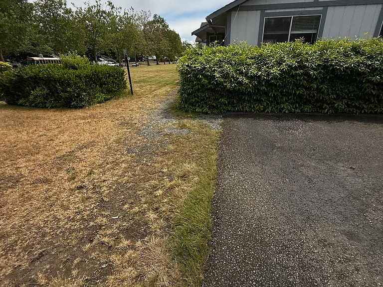 819 Hamelin Ln SE — Photo 6
