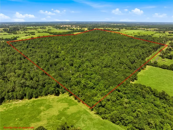 118.25 Acres Cres #278C, Anderson, TX 77830