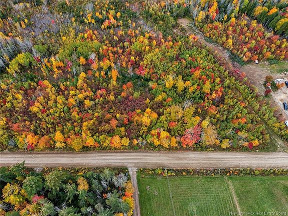 3rd image of LOT 7 Tay Falls Rd