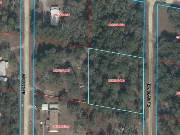 NE 137TH AVENUE LOT 2, WILLISTON, FL 32696