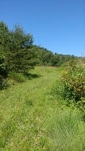 Wades Gap Rd Lot 3, Boones Mill, VA, 24065