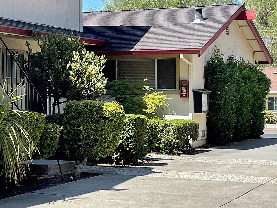 Driveway to Carport