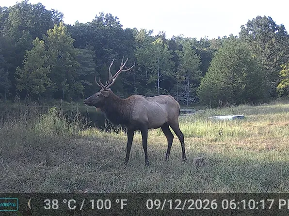 000 County Road 522, Winona, MO 65588