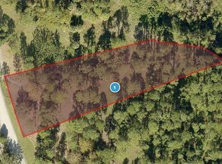 15817 Pendio Dr LOT 56, Montverde, FL 34756