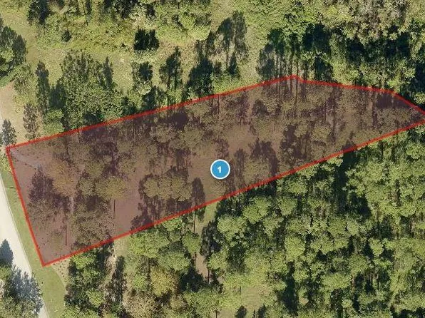 15817 Pendio Dr Lot 56, Montverde, FL 34756