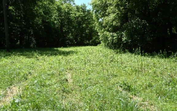 2nd image of 5155 Brimstone Creek Rd