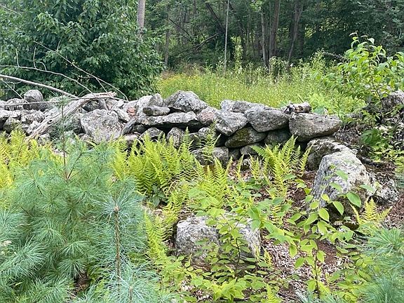 2nd image of 208 Erickson Rd