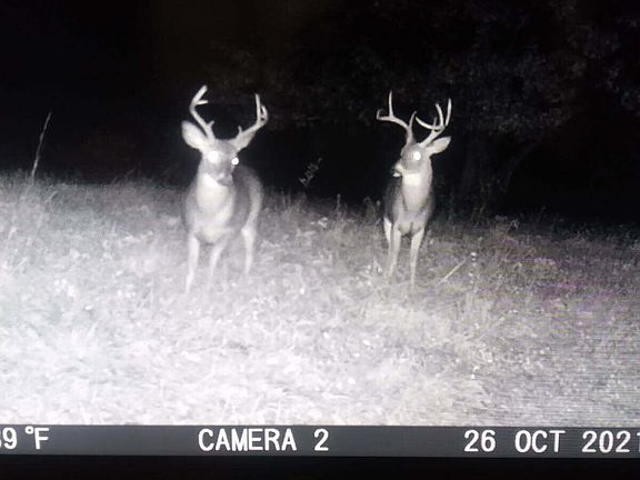 96th image of this home