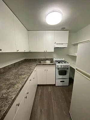 Rented by Voro NYC | media 15