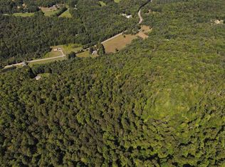 0 Warren Mountain Rd, Roxbury, VT 05669