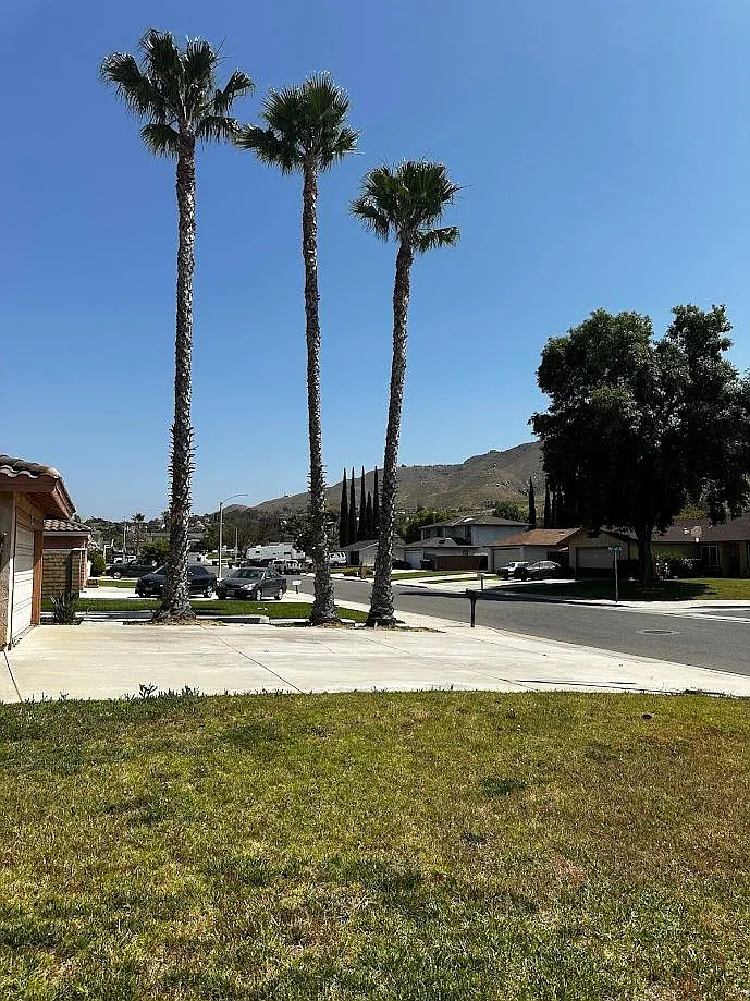 4 bed, 1120 sqft, $3,150 — Photo 3