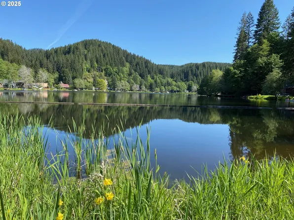 71501 Fishhawk Rd, Birkenfeld, OR 97016