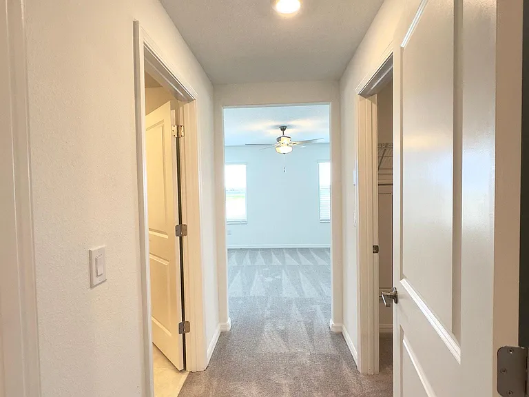 32201 Powderpuff Mimosa Dr — Photo 20